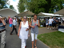 Uitvoering 2017 Muziektuin (72).jpg